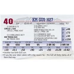 KM GUS H27