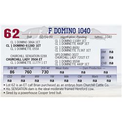 F DOMINO 1040