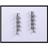 Image 1 : 14K White Gold Diamond Dangling Earrings #1238348