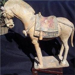 Tang dynasty ceramic horse #1292432