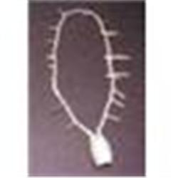 Pre-Columbian Shell Necklace #1292581