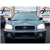 Image 2 : E2 --  2001 HYUNDAI SANTA FE , Green , 308728  KM's