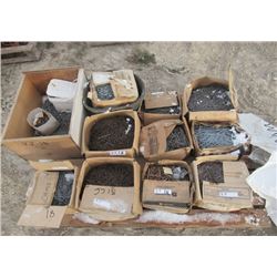 Pallet of Nails- 11 Cases 2" to 5"