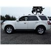 Image 8 : C6F --  2011 FORD ESCAPE LTD  , White , 135636  KM's