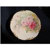 Image 1 : LIMOGES HAND PAINTED  PLATE #1225728