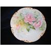 Image 1 : LIMOGES HAND PAINTED PLATE #1225729