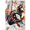 Image 1 : Marvel Comics "Dark Reign:The Goblin Legacy One-Shot" Numbered Limited Edition Giclee on Canvas by M