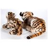Image 6 : Large Steiff Leopard and Tiger, Lot of 2
