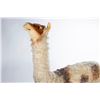 Image 3 : Large Vintage Steiff Llama Store Display