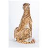 Image 3 : LARGE Vintage French Aux Nations Cheetah Store Display
