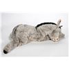 Image 6 : LARGE Vintage Steiff Donkey