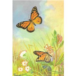 1920's Monarch Butterfly Color Lithograph Print
