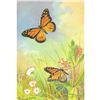 Image 1 : 1920's Monarch Butterfly Color Lithograph Print