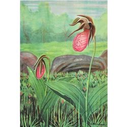 1920's Lady's Slipper Color Lithograph Print