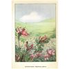 Image 2 : 1920's Honeysuckle Color Lithograph Print