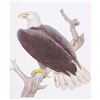 Image 1 : 1950 Menaboni Bird Print - Bald Eagle