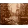 Image 1 : Merced River, Yosemite Valley, California Sepia Tone Photo Print