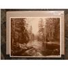 Image 2 : Merced River, Yosemite Valley, California Sepia Tone Photo Print