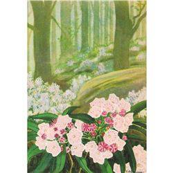 1920's Laurel Color Lithograph Print