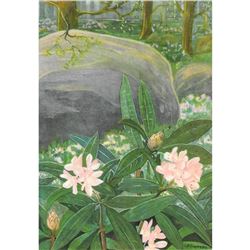 1920's Rhododendron Color Lithograph Print