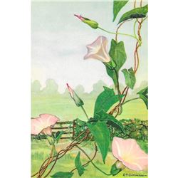 1920's Morning-Glory Color Lithograph Print
