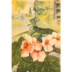 1920's Begonia Color Lithograph Print