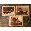 Image 1 : Group of WWII Aircraft, Planes, Sepia Tone Photo Prints