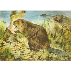 1920's Beaver Color Lithograph Print