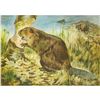 Image 1 : 1920's Beaver Color Lithograph Print