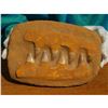 Image 1 : Mosasaur Dinosaur Jaw Section, Fine Display Speciment