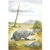 Image 1 : 1920's Badger Color Lithograph Print