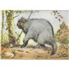 Image 2 : 1920's Porcupine Color Lithograph Print