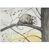 Image 1 : 1920's Color Lithograph Print, Opossum
