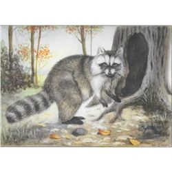 1920's Color Lithograph Print, Raccoon
