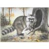 Image 1 : 1920's Color Lithograph Print, Raccoon