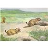 Image 1 : 1920's Prairie Dog Color Lithograph Print