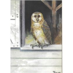 1920's Barn Owl Color Lithograph Print