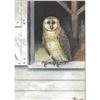 Image 1 : 1920's Barn Owl Color Lithograph Print