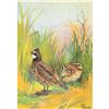 Image 1 : 1920's Bob-White Color Lithograph Print