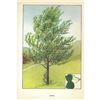 Image 1 : 1920's Aspen Color Lithograph Print