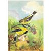 Image 1 : 1920's Goldfinch Color Lithograph Print
