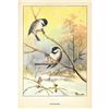 Image 2 : 1920's Chickadee Color Lithograph Print