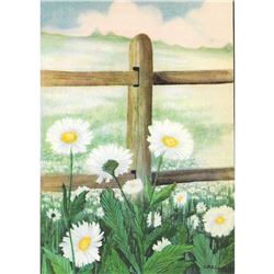 1920's Daisy Color Lithograph Print