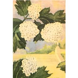 1920's Snowball Color Lithograph Print