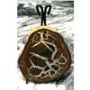 Image 1 : Large Natural Moroccan Dragon's Stone Septarian Nodule Display Specimen