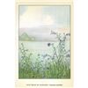 Image 2 : 1920's Blue Bells of Scotland Color lithograph Print