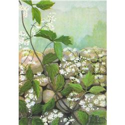 1920's Clematis Color lithograph Print