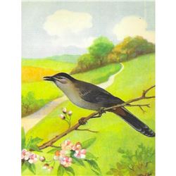 1920's Catbird Color Lithograph Print