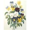 Image 1 : After Pierre-Jospeh RedoutÃ©, Floral Print, #97 Bouquet de PansÃ©es  (Pansies)