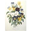 Image 2 : After Pierre-Jospeh RedoutÃ©, Floral Print, #97 Bouquet de PansÃ©es  (Pansies)